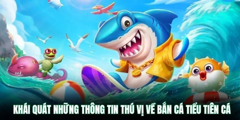 Khái quát những thông tin thú vị về bắn cá tiểu tiên cá