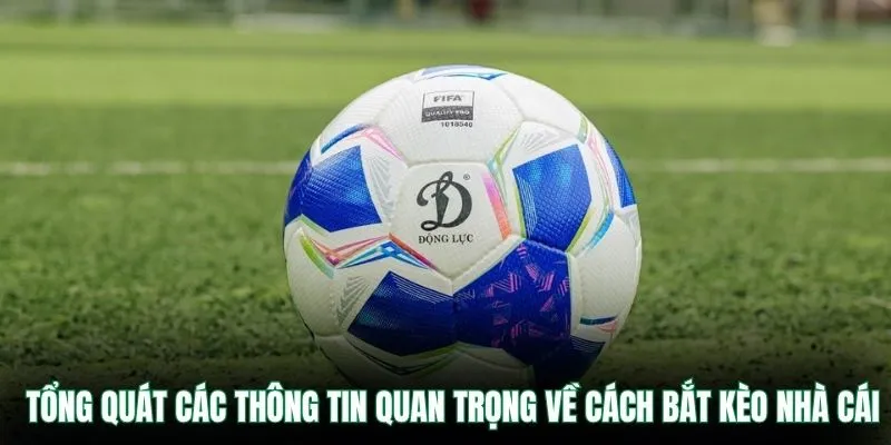 Tổng quát các thông tin quan trọng về cách bắt kèo nhà cái