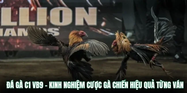 đà gà c1