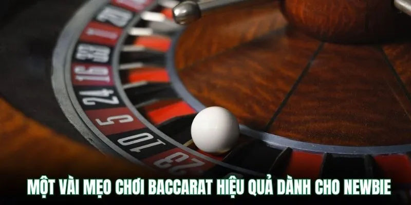 Một vài mẹo chơi baccarat hiệu quả dành cho newbie
